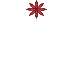 Mangolini